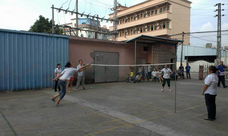 Badminton Game