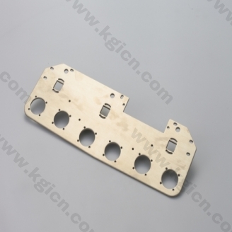 Stainless steel fixing plate